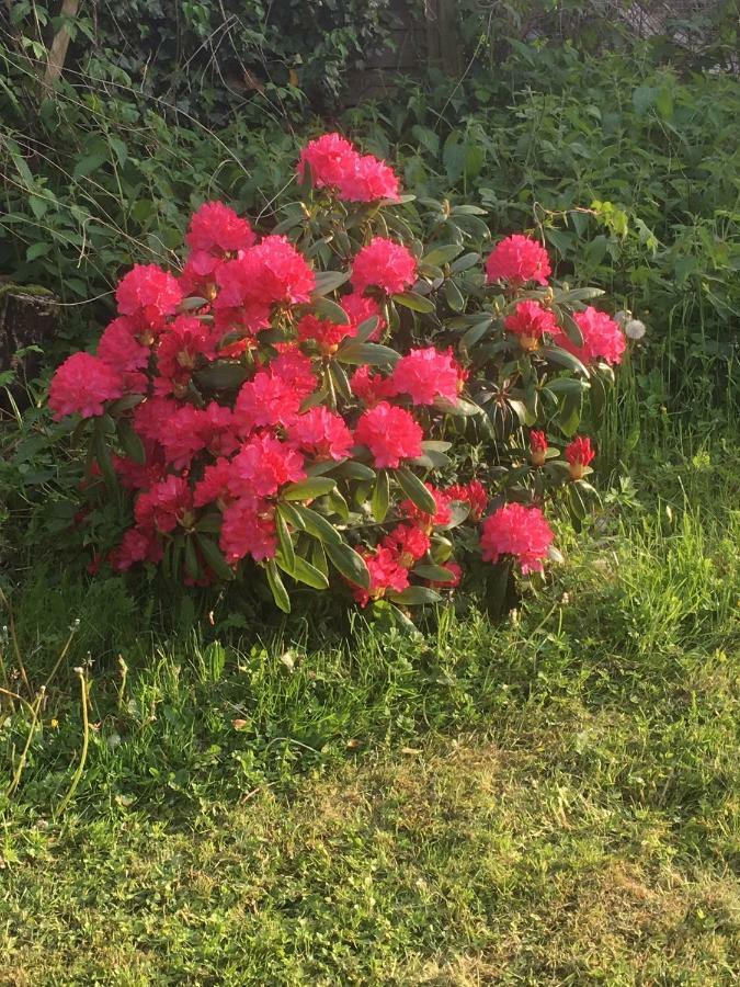 דירות Fewo Fleckeby An Der Schlei מראה חיצוני תמונה